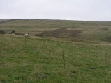 Green Low ringcairn - PID:16703
