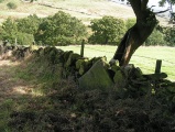 Ringstones (Derbyshire) - PID:16874