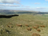 Lady Low Barrow submitted by DaveDunford
