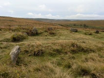 Barbrook 1