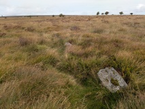 Barbrook 3