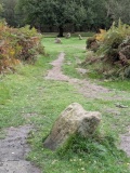 The King (Stanton Moor)
