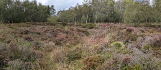 Stanton Moor 3