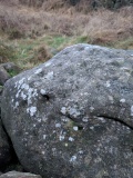 Holymoorside - PID:302729