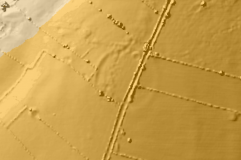 Sheldon Henge - PID:304419