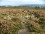 Stanton Moor Cairn T55 submitted by enkidu41