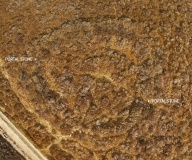 Stanton Moor 4