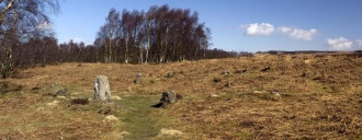Stoke Flat