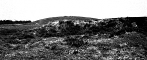 Swarkestone Lows - PID:18345
