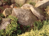 Stanton Moor - PID:2702