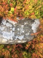 Stanton Moor Cairn T25 - PID:184756