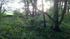 Ringham Low