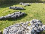 Arbor Low 1 - PID:117552