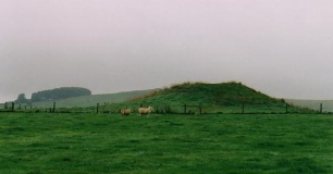 Gib Hill - PID:3708