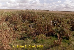 Big Moor