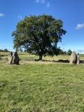 Nine Stones Close - PID:312031