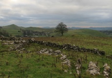 Harley Grange Tumulus