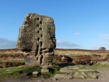 Cork Stone