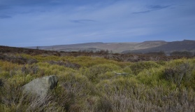 Eyam Moor III Free Standing Stone Circle - PID:160485