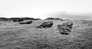 Arbor Low - PID:160484