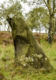 Gardoms Edge Standing Stone (Menhir) - PID:160486