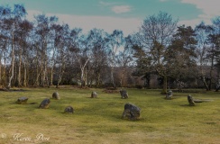 Nine Ladies Stone Circle - PID:160492