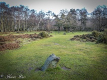 The King (Stanton Moor) - PID:160491