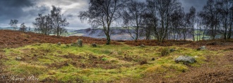 Stoke Flat - PID:160472