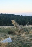 Foxlowe Edge