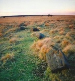 Barbrook 3