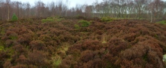Stanton Moor 3