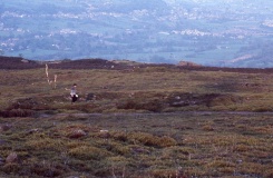 Stanton Moor 4