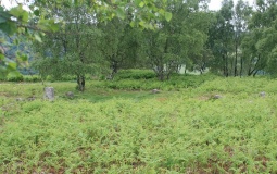 Stoke Flat