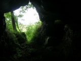One Ash Shelter - PID:200114
