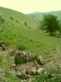 St Bertram's Well (Bunster Hill) - PID:21570