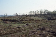 Stanton Moor 3