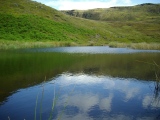 Mermaid's Pool - PID:93332