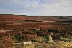 Bamford Moor South