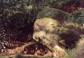 Rowtor Rocks - PID:3075