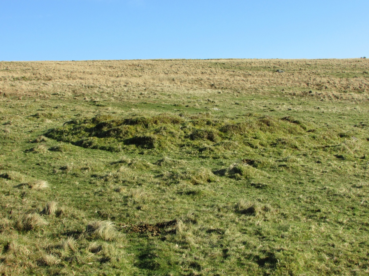 Stalldown Stone Row Cairn S
