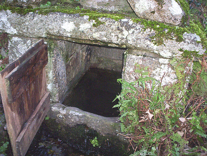 Saxon Well