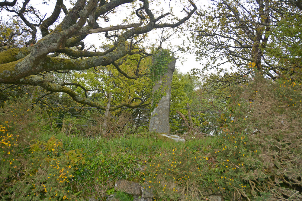 Getting closer, this cross with its very narrow head and arms rises high out of the bank above you. Historic England says: 