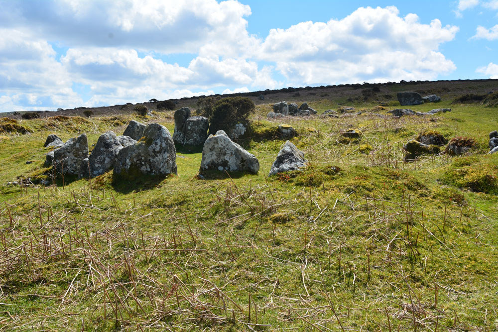 This is the hut circle on the eastern side of the line, intersected by a modern field boundary.