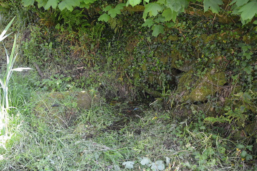 This photo attempts to show the stones lining the channel running from the well, and how the water flows next to it, through a hole in the dry stone wall to the east/south east of the well.  The ground all around the well was boggy, although not as much water as in cazzyjane's visit in 2012!