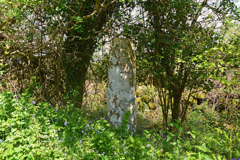 Click for the gallery page to add comments and vote (PID:198161) Shorter Cross