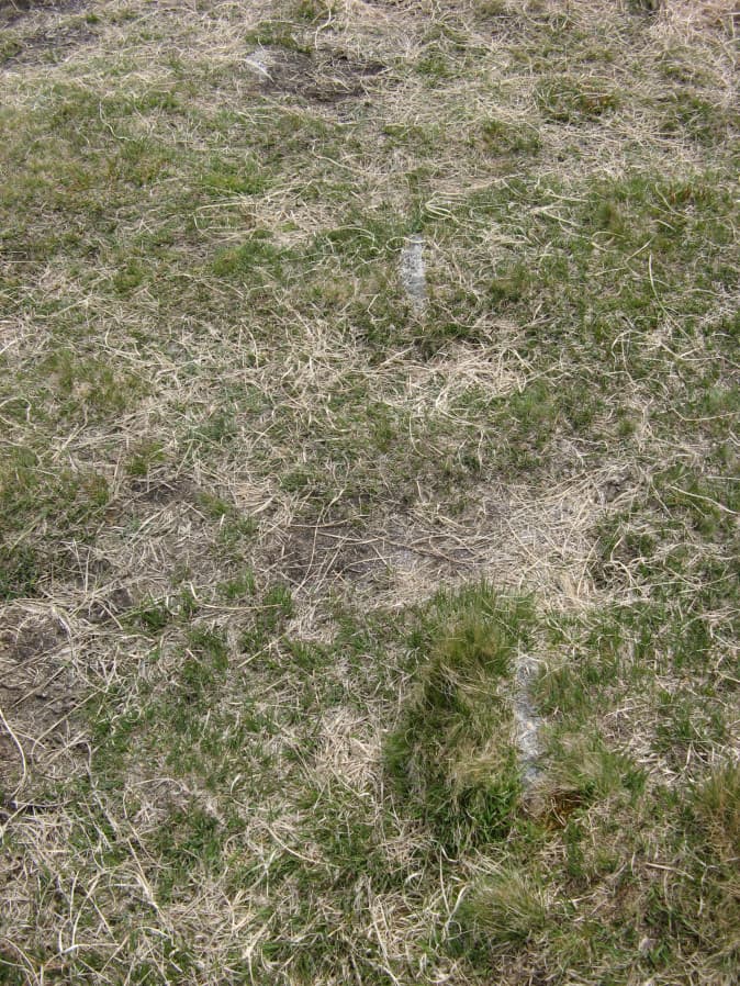 Click for full size image of Shovel Down row 1 (PID:200755) Shovel Down row 1