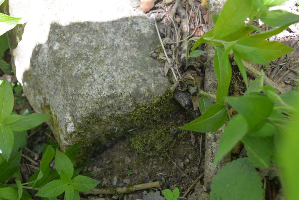 The top and sides of this stone looked as if they had been shaped, and did to some extent match the description given by Starkey. It was certainly close to the grid reference given by Pastscape. Has something (a cross head) been broken off the top? Is this Starkey's Ringhill Wayside Cross or just a gatepost?