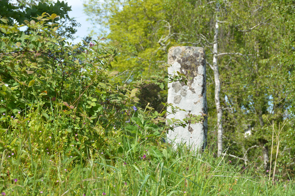 Click for the gallery page to add comments and vote (PID:198388) Sticklepath Boundary Marker