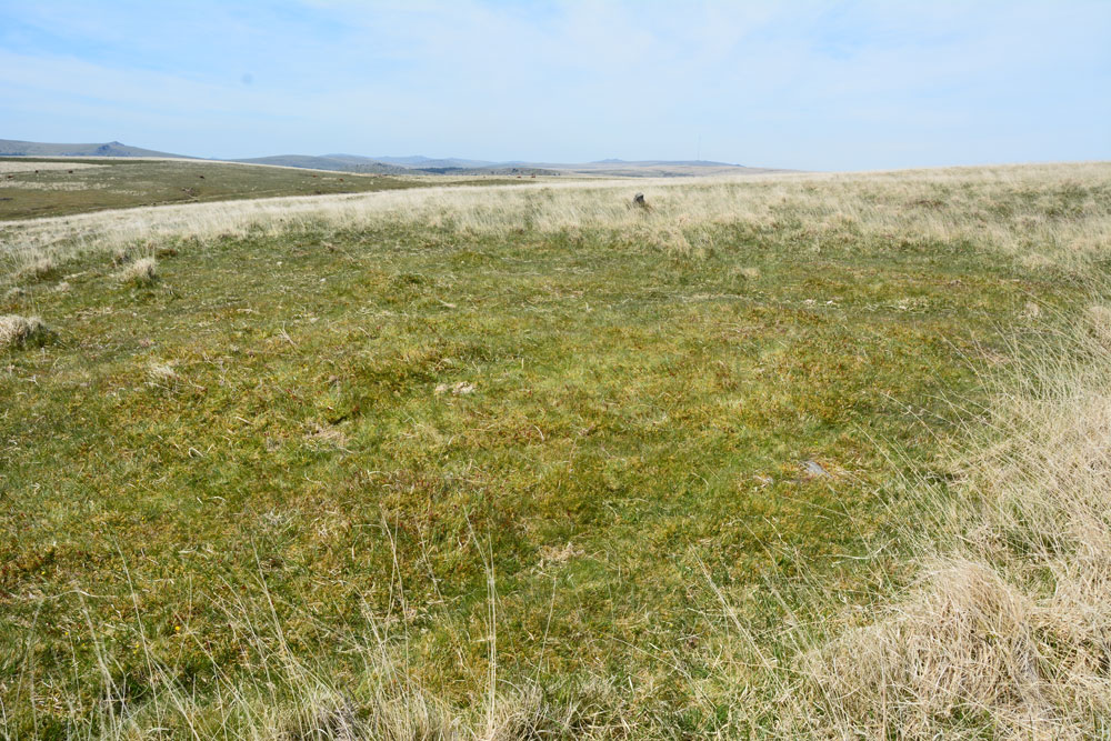 Click for the gallery page to add comments and vote (PID:200061) Cairn At Head of Drizzlecombe Row 4