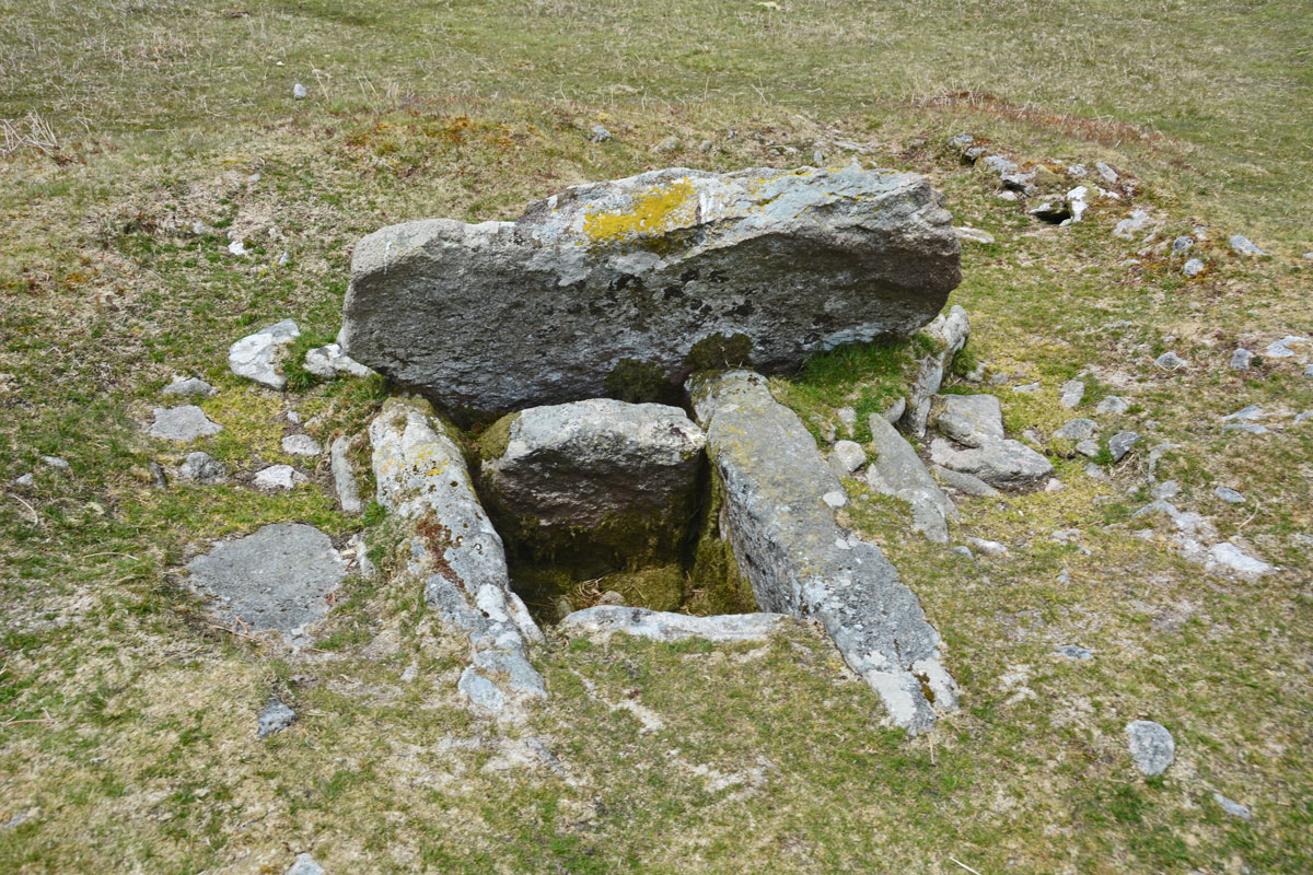 Click for full size image of Drizzlecombe cairn 13 (PID:199991) Drizzlecombe cairn 13
